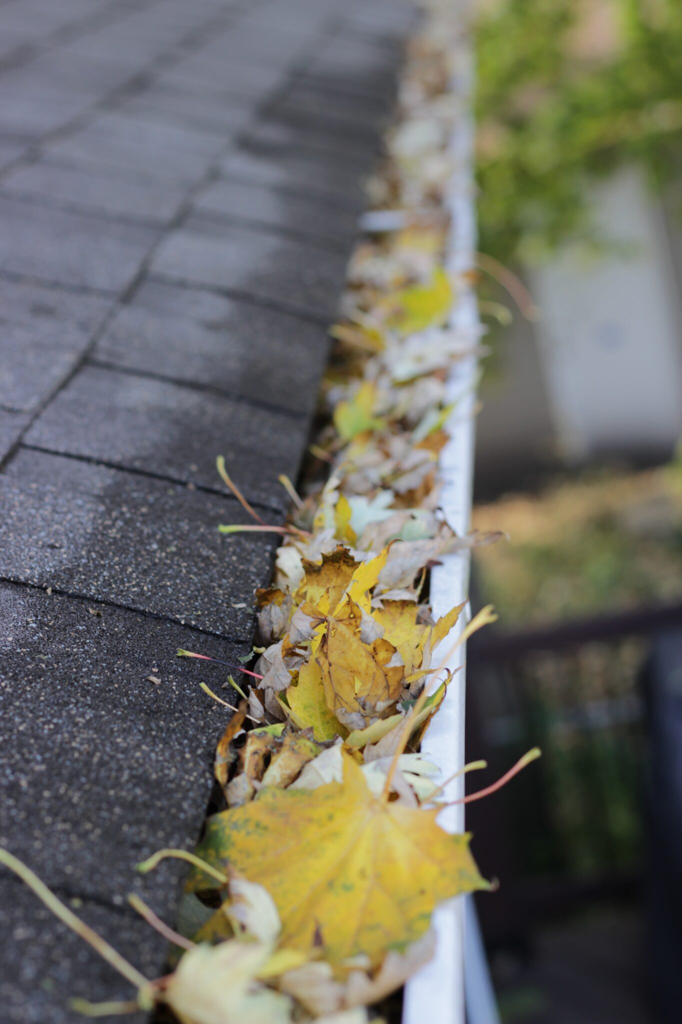 Eaves Cleaning